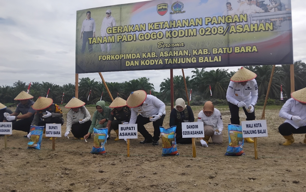 Dukung Ketahanan Pangan, Kodim 0208/Asahan-Pemkab Menanam Padi Gogo