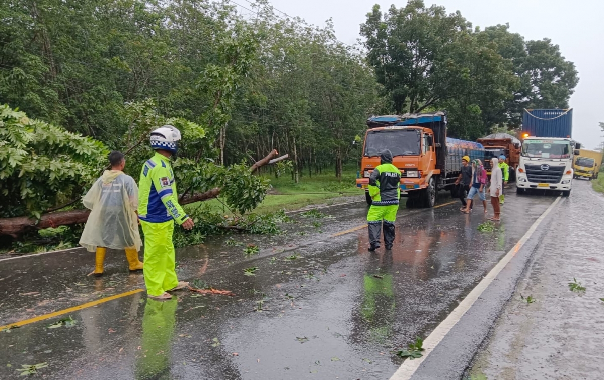 Angkot Terbalik hingga Pohon Tumbang di Jalinsum, Satlantas Polres Sergai Gerak Cepat Evakuasi-Atasi Kemacetan