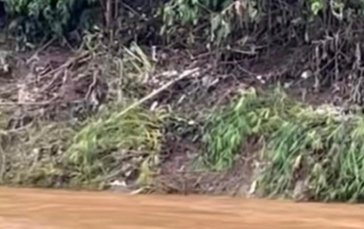 Mayat Perempuan Tanpa Busana Ditemukan di Sungai Batang Angkola, Warga Sihitang Geger