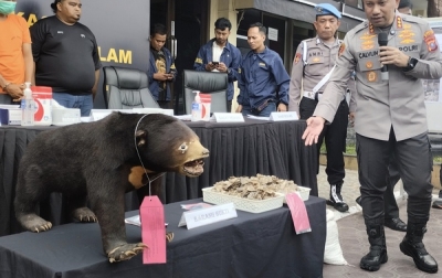 Polrestabes Ungkap Kasus Penjualan Beruang Madu dan Sisik Trenggiling