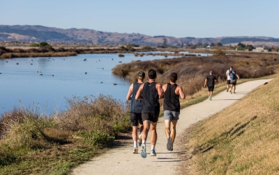 Active Escapes: Run, Walk, Bike, Hike di Alam Bebas Selandia Baru