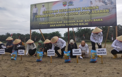 Dukung Ketahanan Pangan, Kodim 0208/Asahan-Pemkab Menanam Padi Gogo