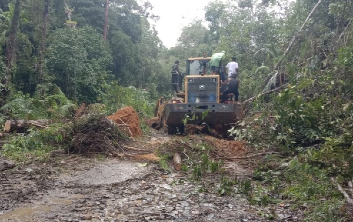 Buka Akses Akibat Longsor, PT Mujur Timber Bantu Alat Berat