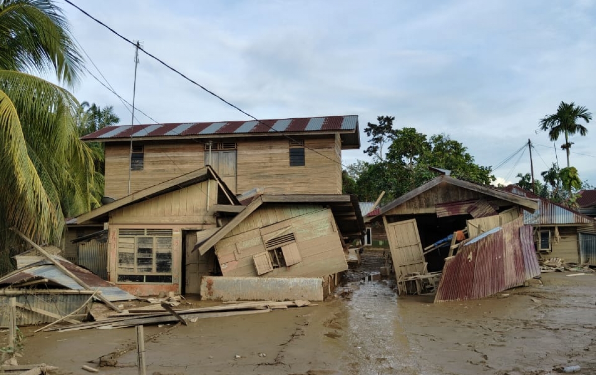 Ketika Lumpur Naik ke Daun Pohon