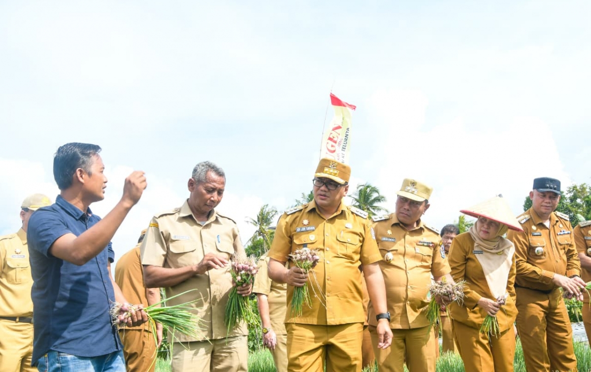 Sejahterakan Petani, Bupati Gelorakan Gerakan Tanam Bawang Merah di Deli Serdang