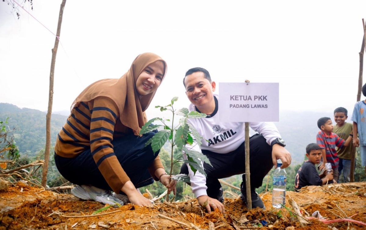 Bupati Putra Mahkota Tanam Perdana Bibit Kopi Arabika