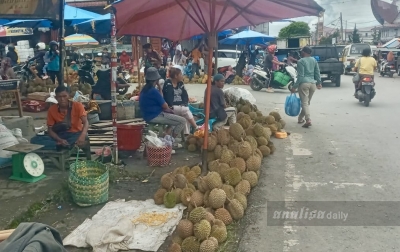 Menilik Jalan Dairi, Pusat Dagangan Durian di Sidikalang