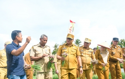 Sejahterakan Petani, Bupati Gelorakan Gerakan Tanam Bawang Merah di Deli Serdang