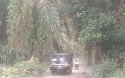 Anggota DPRD Labuhanbatu Utara Bangun Akses Jalan dari Uang Pribadi