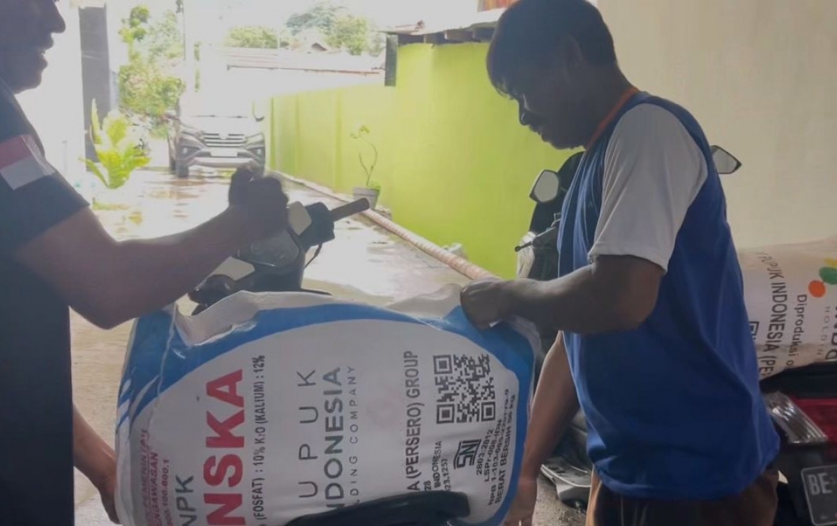 Penyaluran Pupuk Bersubsidi 1 Januari 2026 Berjalan Lancar, Pupuk Indonesia Pastikan Stok Aman