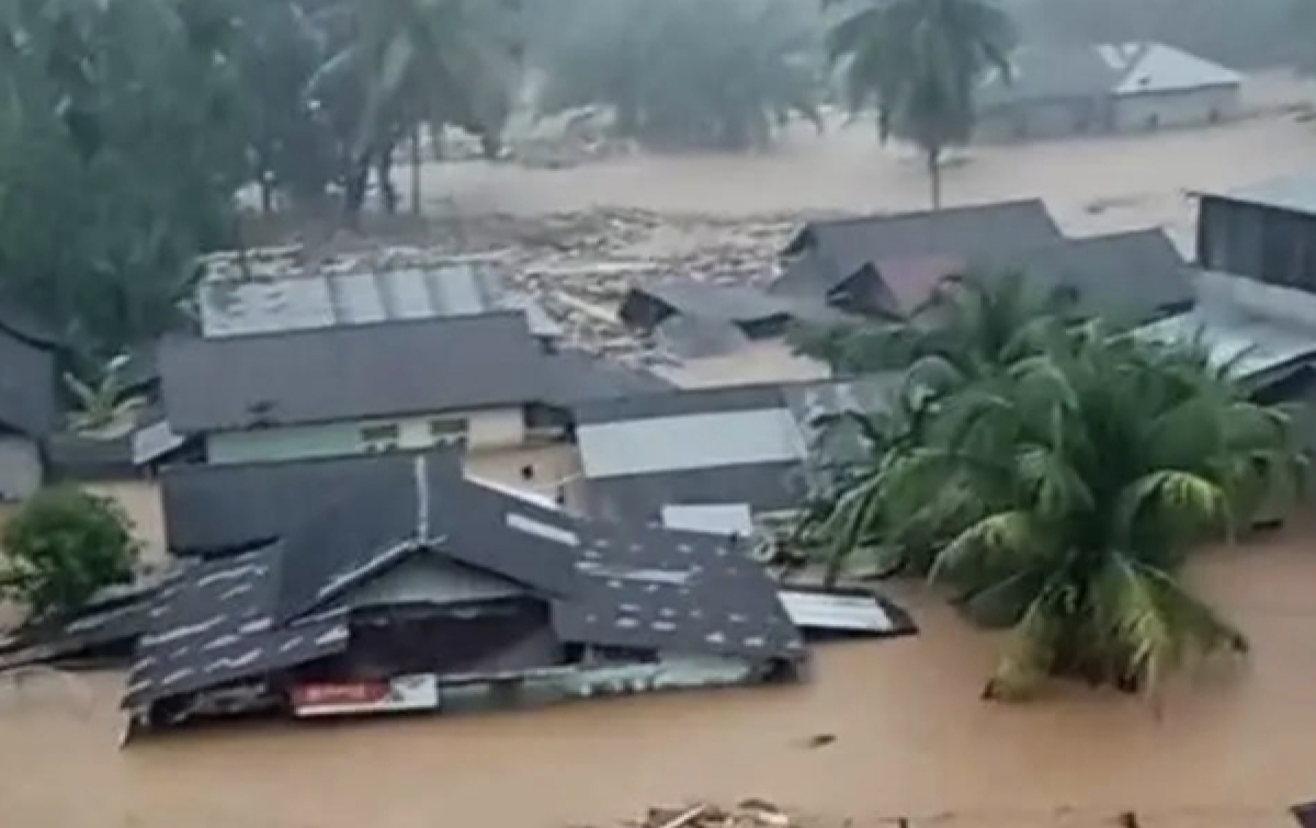 Bencana Sumatera Berdampak Penutupan Perusahaan, Pemerintah Diminta Atasi Bencana Baru 