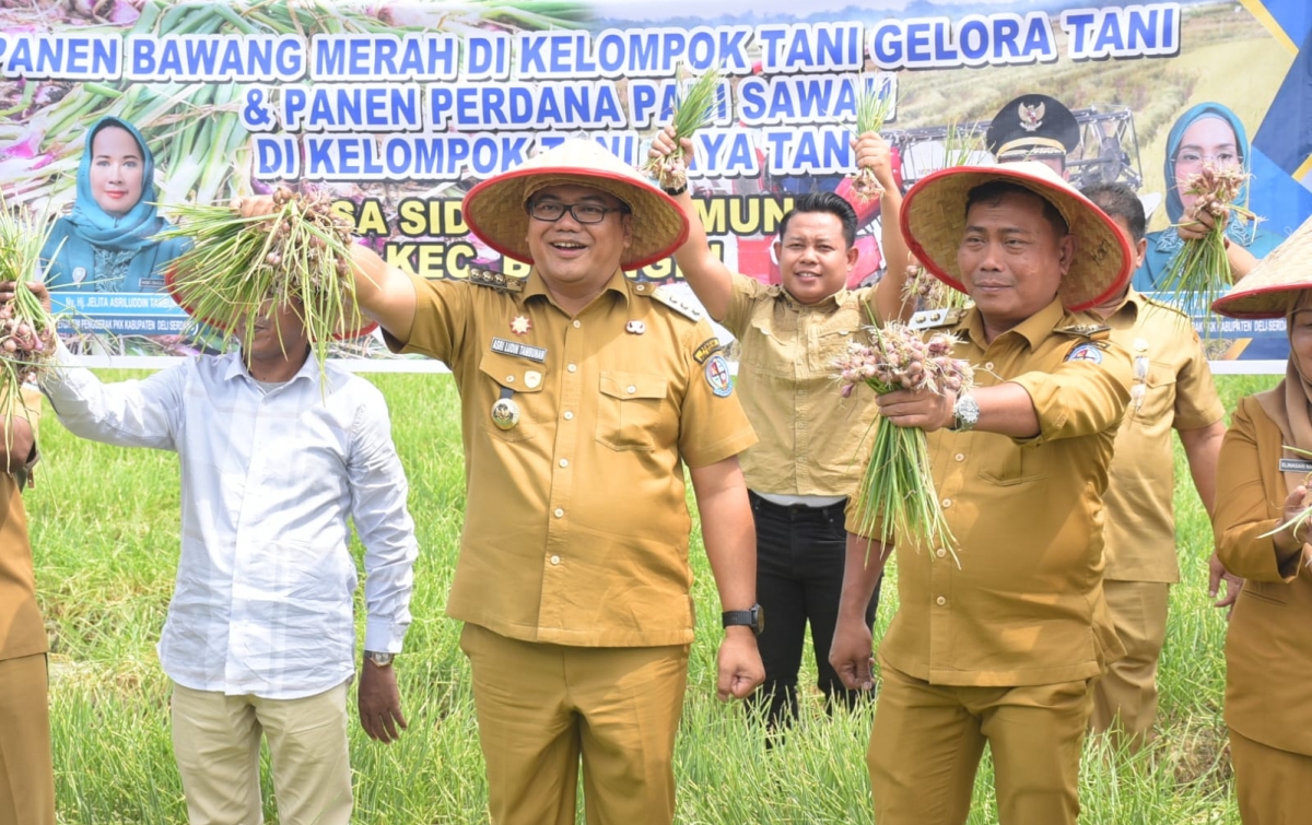 Jadi Komoditas Favorit, Petani Desa Sidodadi Ramunia Pilih Tanam Bawang Merah