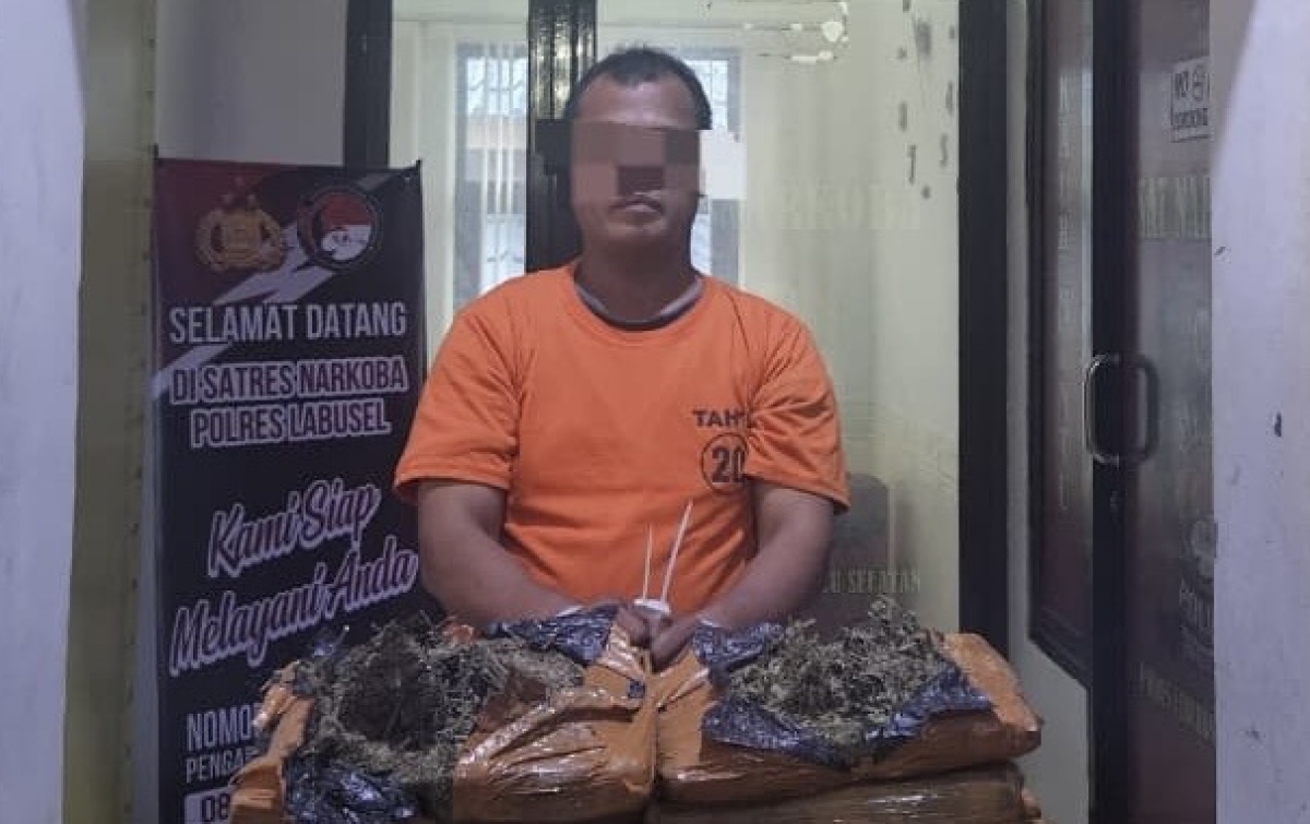 Coba Kabur Pakai Ford Everest, Penyelundup 26 Paket Ganja Asal Padang Diringkus Polres Labusel