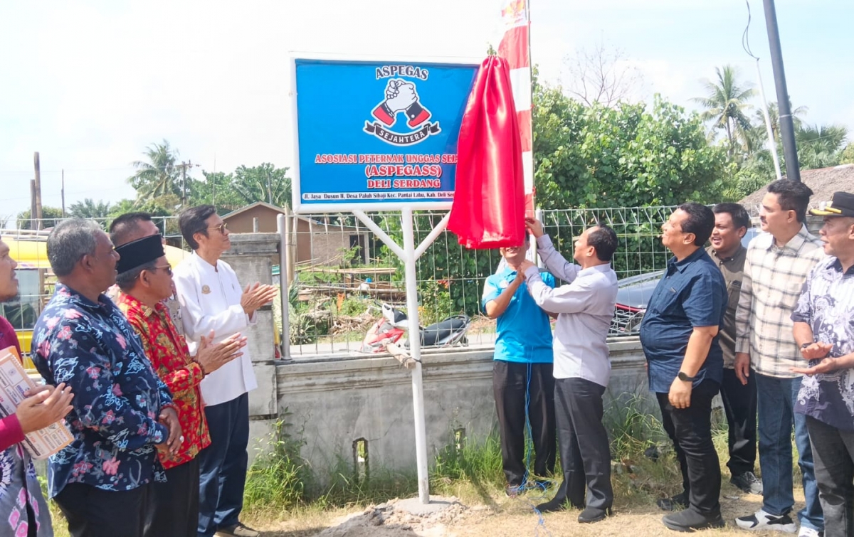 Pemkab Deliserdang Komitmen Bina Peternak Ayam Potong dan Petelur