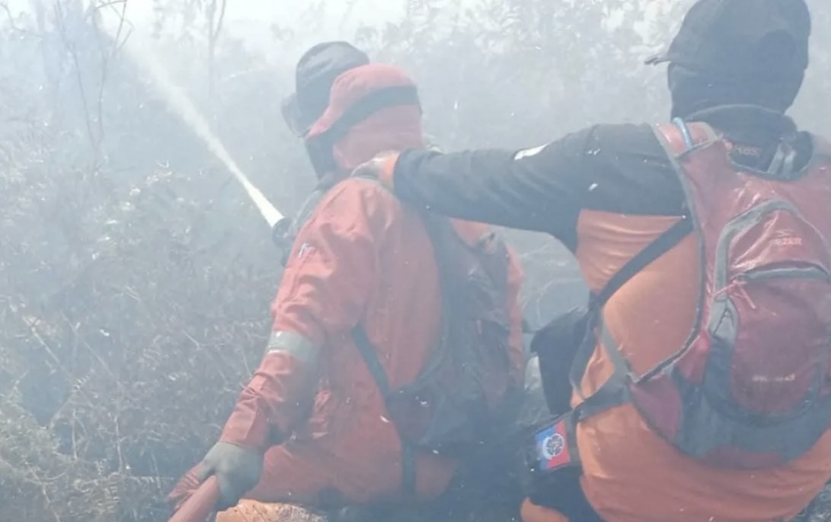 Kebakaran Lahan Gambut di Aceh Barat Meluas, Capai 10 Hektare