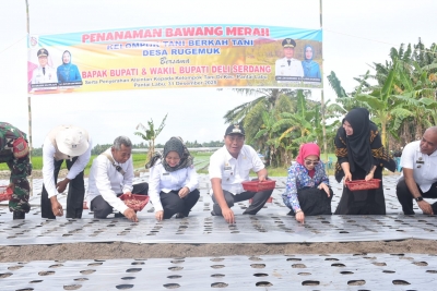 Wabup dan Poktan Berkah Tani Tanam Bawang di Pantai Labu