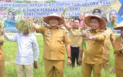 Jadi Komoditas Favorit, Petani Desa Sidodadi Ramunia Pilih Tanam Bawang Merah