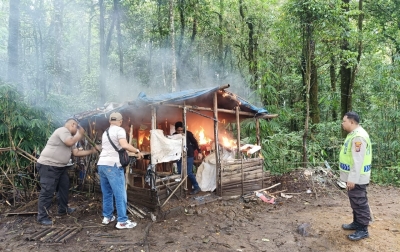 Sapu Bersih! Polsek Pancur Batu Bakar dan Ratakan Gubuk Narkoba di Sibolangit