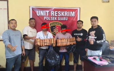 Polsek Siabu Tangkap Dua Terduga Pengedar Ganja di Madina