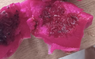 Orangtua Keluhkan Menu MBG dari Dapur Bisukma Ditemukan Busuk dan Berulat