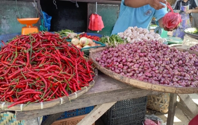 Harga Bawang Merah Naik Capai Rp42.000 Per Kilogram