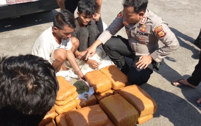 Intel Polisi Nyamar Jadi Petugas Kontruksi, Tangkap Kurir Ganja di Aceh Tenggara 