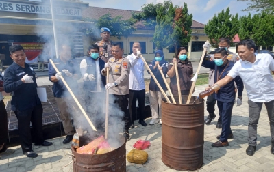 Polres Sergai Bakar 14,5 Kg Ganja Hasil Tangkapan, 2 Kurir Asal Pantai Cermin Terancam 12 Tahun Penjara