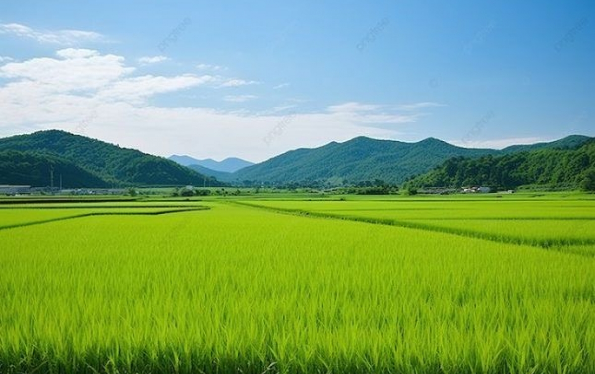 IAW: Perubahan Status Lahan Diam-diam Rugikan Investor dan Rusak Ekosistem Ekonomi