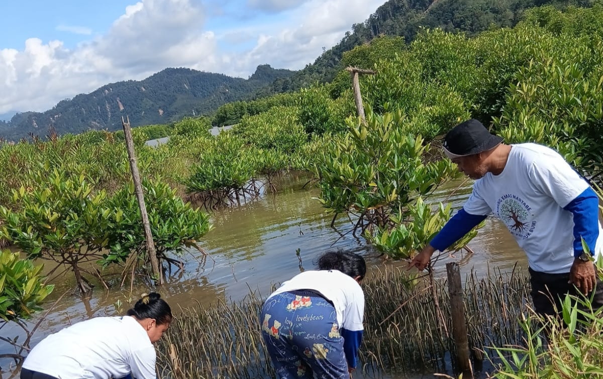 Mangrove Pesisir Tumbuh 29 Hektare Lewat Program Kolaborasi
