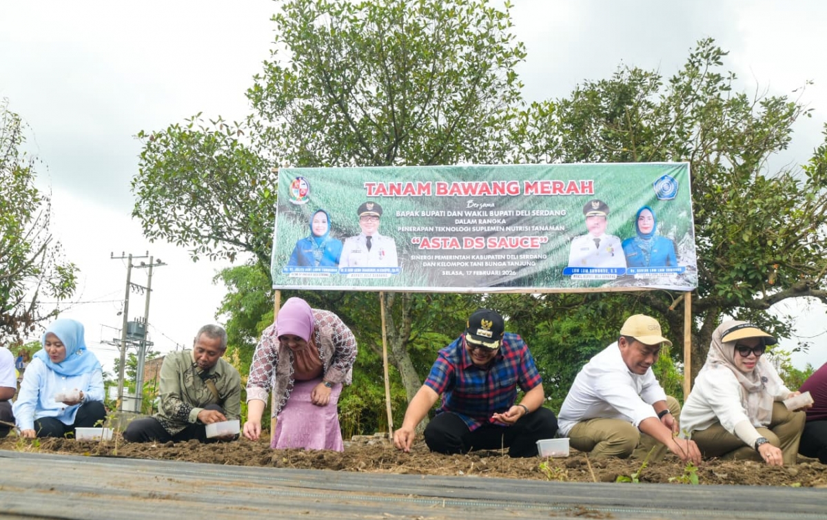 Penanamam Bawang di Kecamatan Sunggal, Bupati Dukung Inovasi ASTA DS Sauce Produk Putra Daerah 