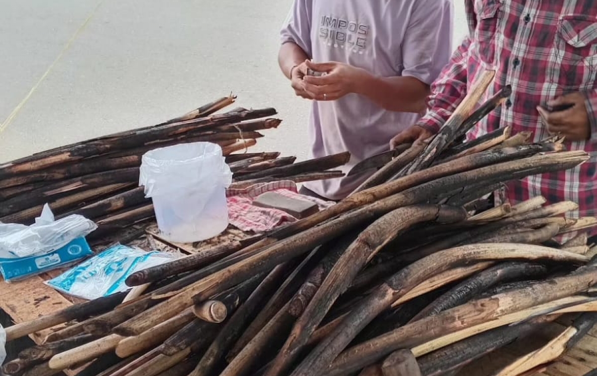 Aroma Pakkat Raja dan Lolap Menggoda Senja Ramadan di Sidimpuan