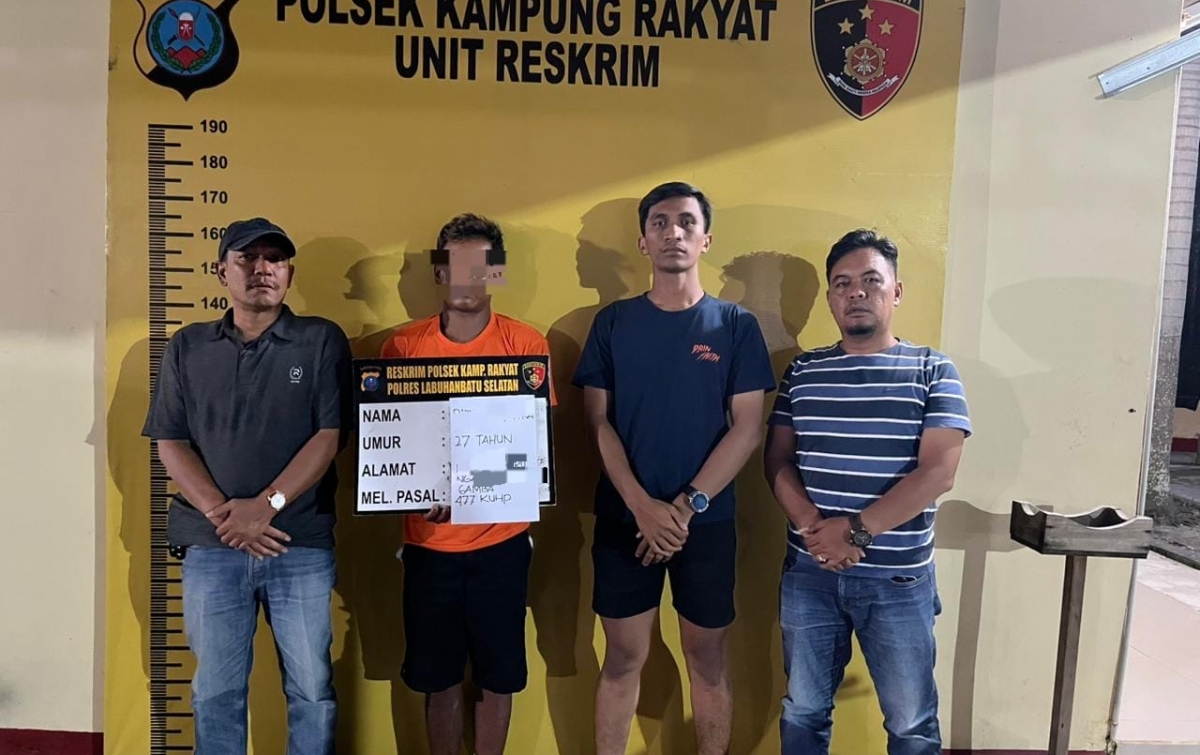 Maling Sawit di Kebun Milano Labusel Ditangkap, Sempat Kabur Dibantu Pria Bersenjata Parang