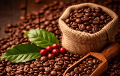 Petani Kopi Lokal Berhasil Ekspor Kopi Biji dan Bubuk ke Berbagai Kota