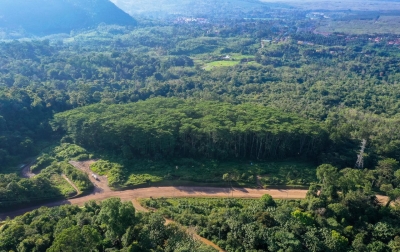 Sinergi Hijau: Pemerintah Fokus Tata Kelola DAS, Tambang Emas Martabe Hijaukan 41 Hektare Lahan