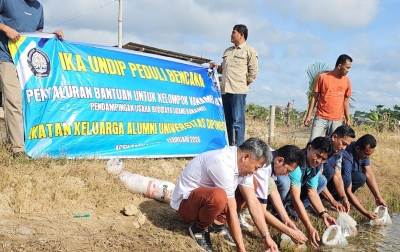 IKA UNDIP Bantu Benur Udang Vanamei untuk Kelompok Petambak di Pesisir Aceh Tamiang 
