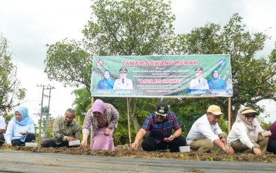 Penanamam Bawang di Kecamatan Sunggal, Bupati Dukung Inovasi ASTA DS Sauce Produk Putra Daerah 