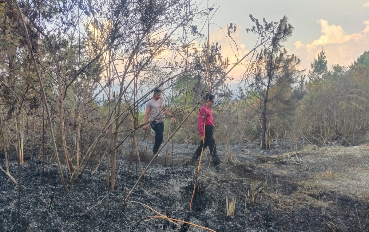 Cegah Karhutla, Polres Toba Kerahkan Bhabinkamtibmas dan Ancaman Pidana bagi Pembakar Lahan