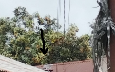 Diduga Tanpa Izin, Jaringan Wi-Fi Berbasis Voucher Menjamur di Labuhanbatu Utara