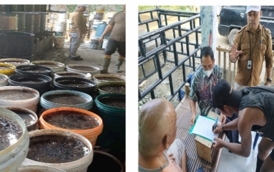 Balai Besar POM di Medan Temukan Tempat Produksi Lengkong Hitam Berformalin di Langkat