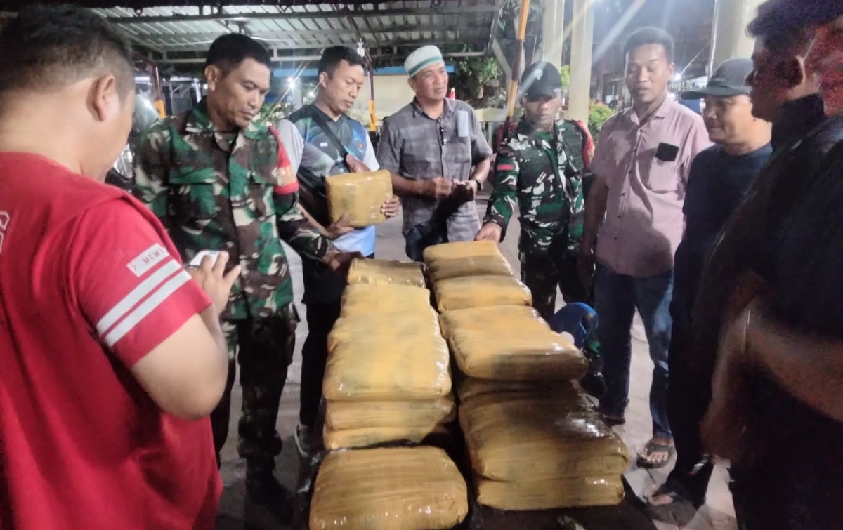 Penemuan Ganja di Padang Laru, Pelaku Diduga Kabur Tinggalkan Mobil Rental