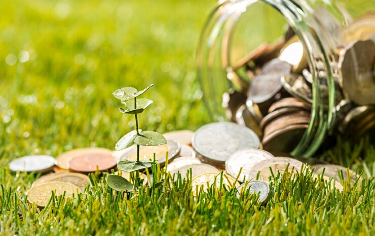 Saat Dana Iklim Menciut, Indonesia Harus Berdiri di Kaki Sendiri