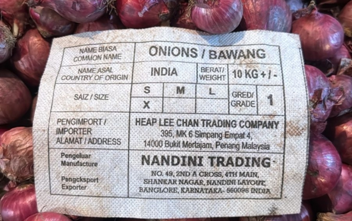 DPRD SU : Segera Tindak Bawang Merah Import Ilegal di Sumut