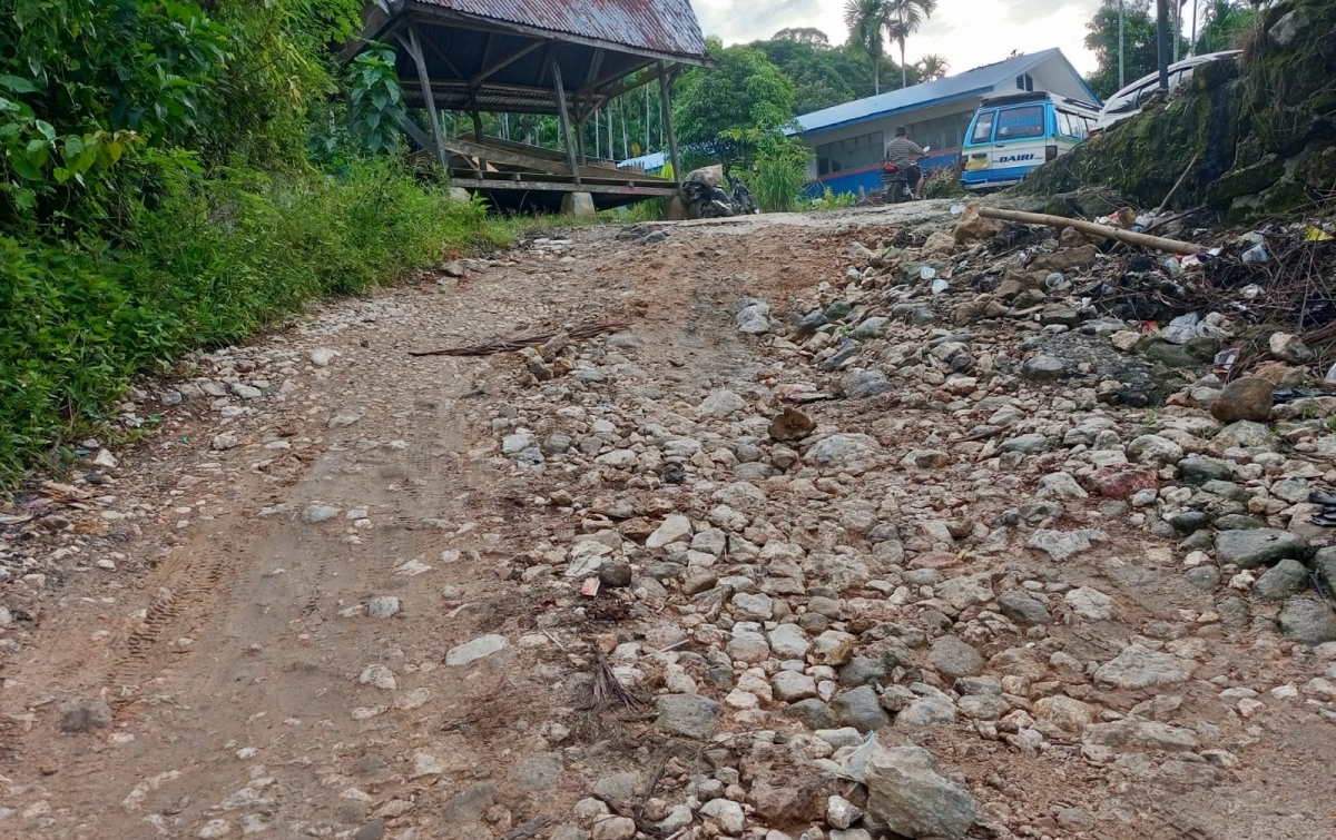 Jalan di Sentra Durian Desa Lae Itam Dairi Rusak Parah, Perbaikan Hanya 500 Meter