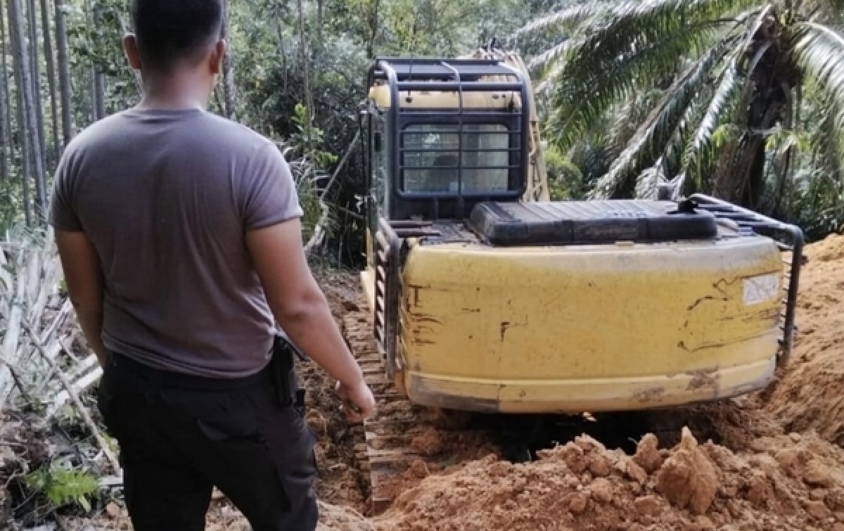 Tetap Panen Di Lahan Negara,  Masyarakat Sesalkan Sikap PT Barapala