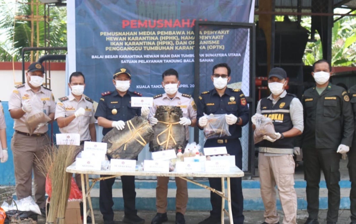 Ribuan Kulit Biawak dan Komoditas Ilegal Dimusnahkan