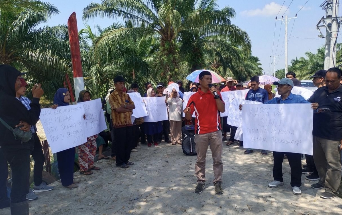 Lahan Tambak Jadi Sawit Ilegal? Kelompok 80 Plasma TIR Kembali Seruduk Kantor PT DMK