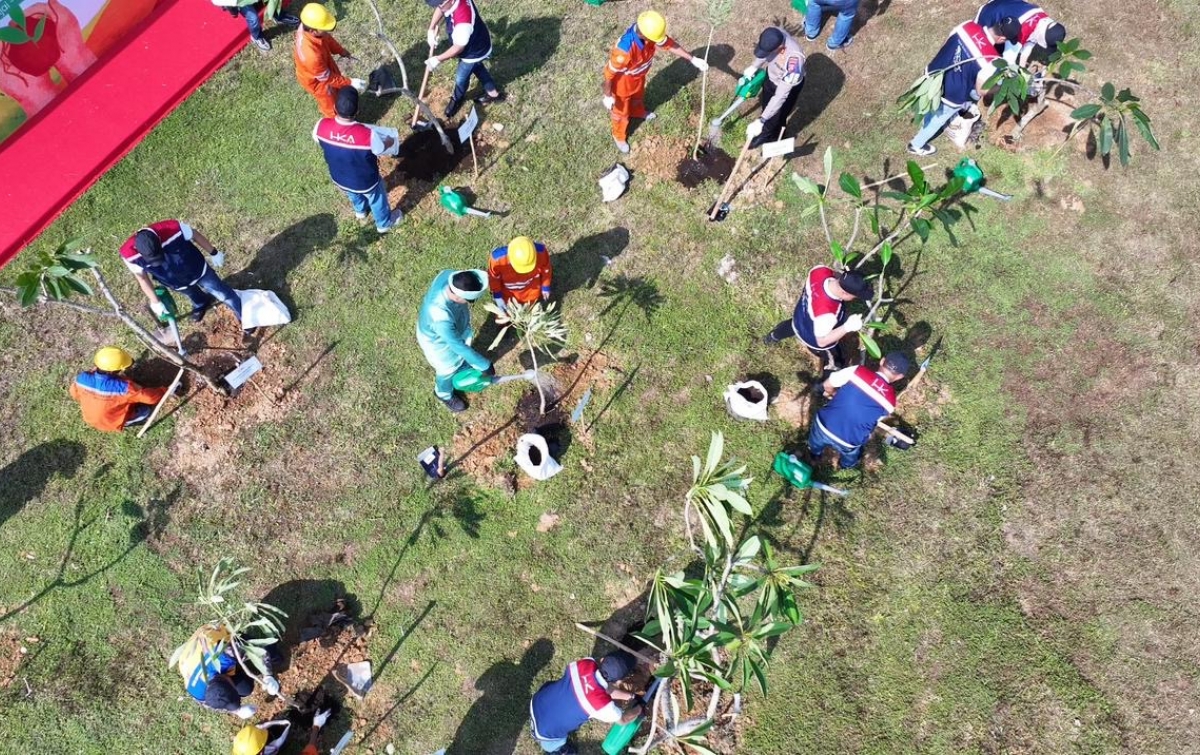 Tol Trans Sumatera Makin Hijau! HK Targetkan Serap 9.000 Ton Karbon Lewat Penanaman 17 Ribu Pohon