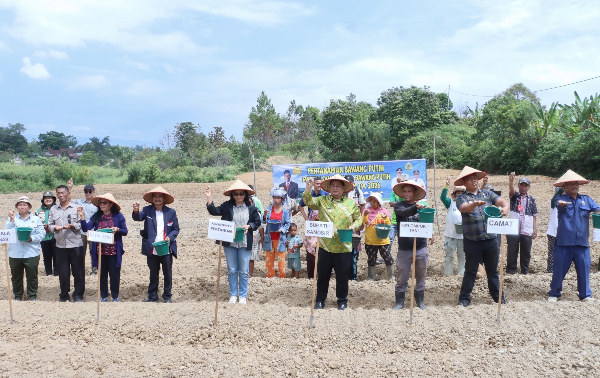 Bupati Samosir Tanam Bawang Putih, Optimistis Jadi Sentra di Sumut