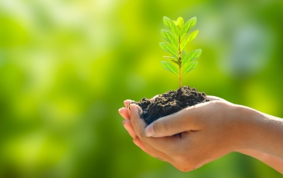 Ketika Kerusakan Alam Tak Bisa Diselesaikan dengan Akuntansi