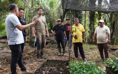 Targetkan Pasar Global, Kopi Marancar Godang Tapsel Didorong Jadi Produk Unggulan Dunia